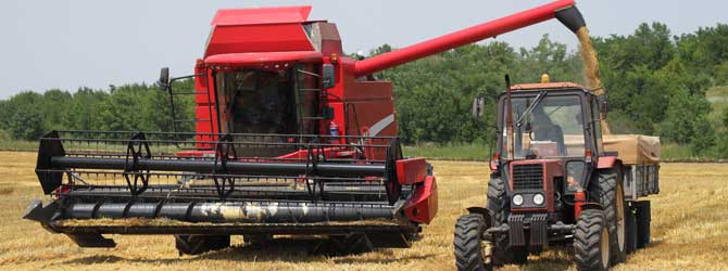 Screening and mesh for the agriculture industry