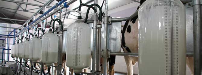 Screening, bags and mesh for the dairy industry